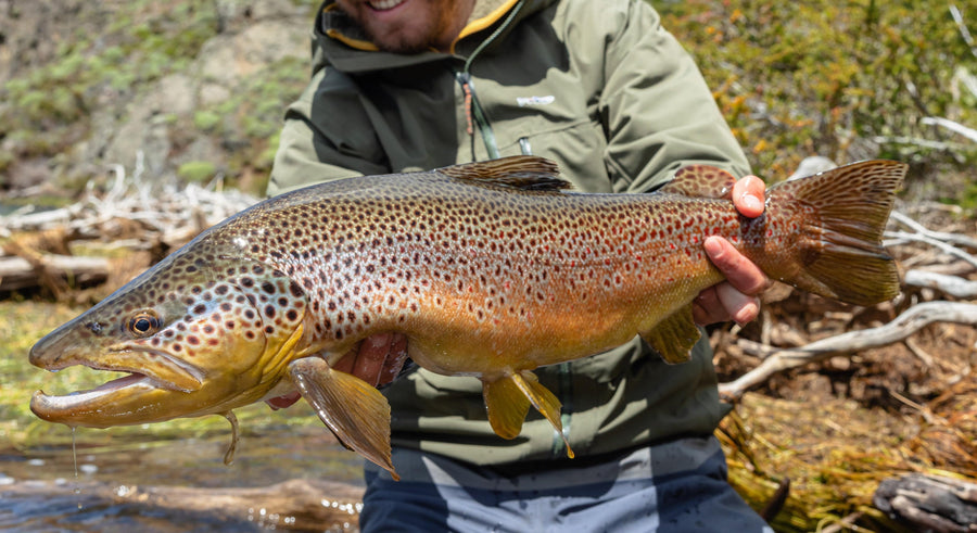 Fly Fishing Patagonia, Chile: The Ultimate Guide
