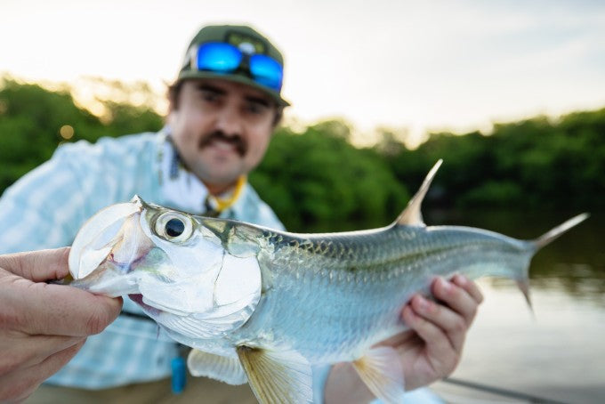 yellow-dog-flyfish Mexico: October 2022 Trip Report with Yellow Dog Mexico Program Director.