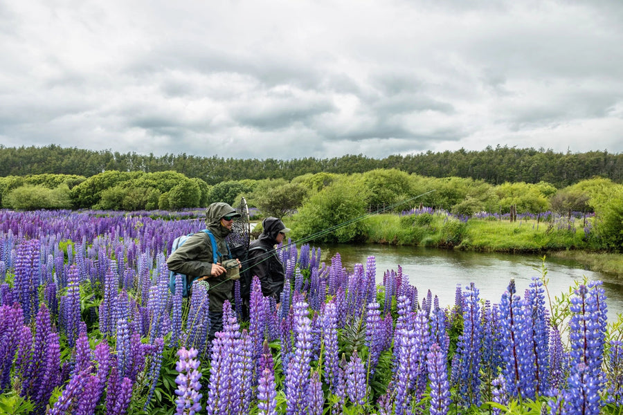 yellow-dog-flyfish Chile & Argentina 2024 Current Fly Fishing Availability.