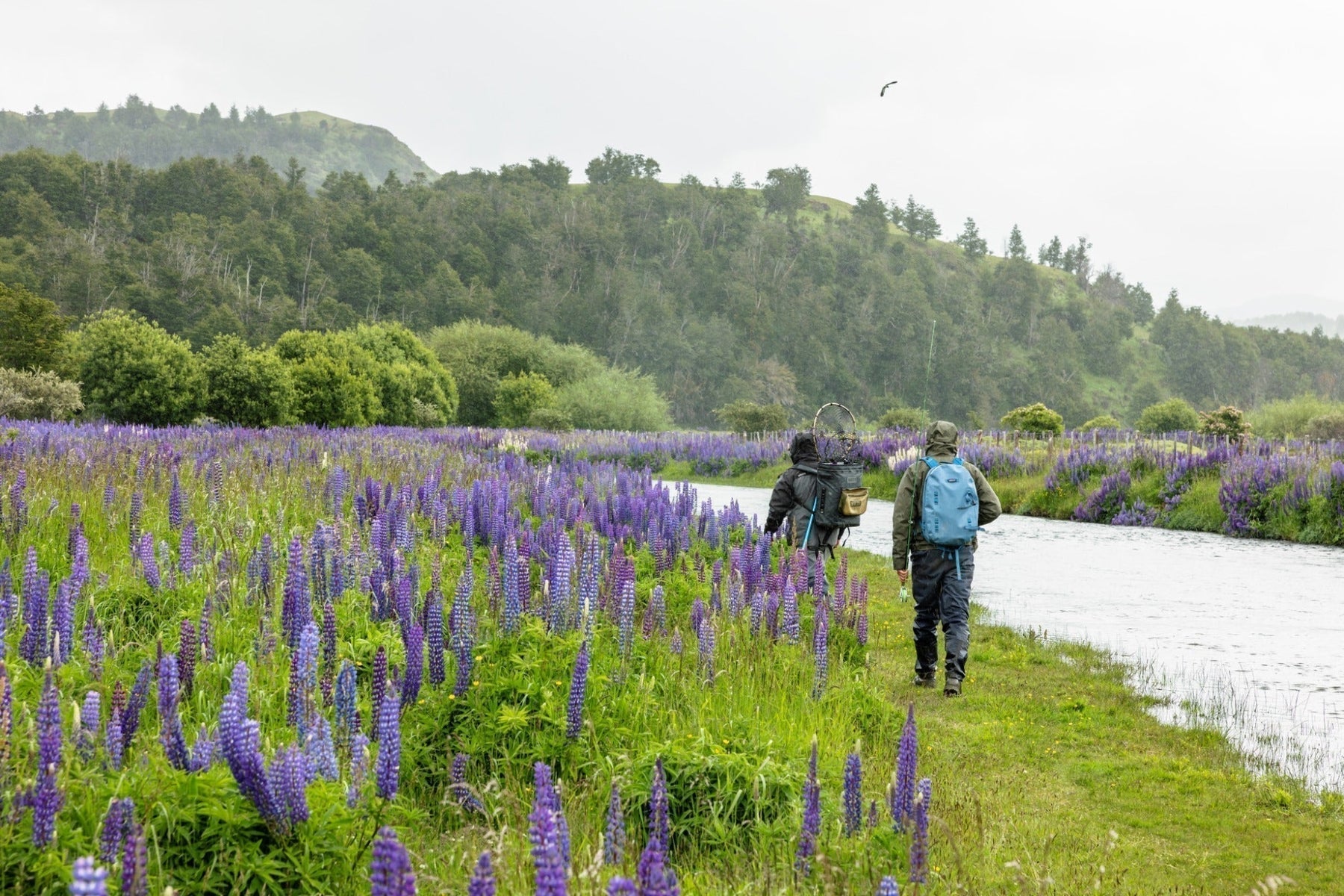 Where to Save and Where to Spend on Destination Fly Fishing Gear