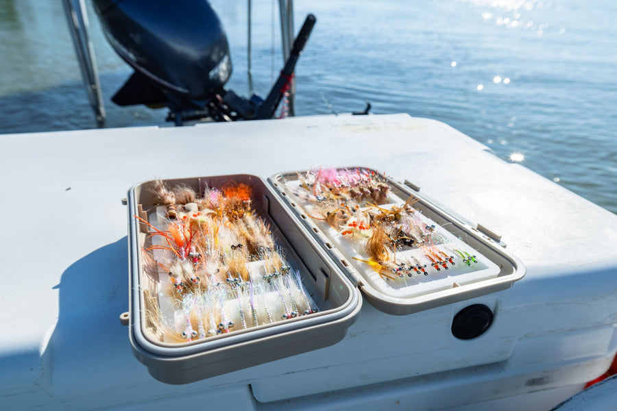 yellow-dog-flyfish Rare Availability at Casa Blanca Lodge.