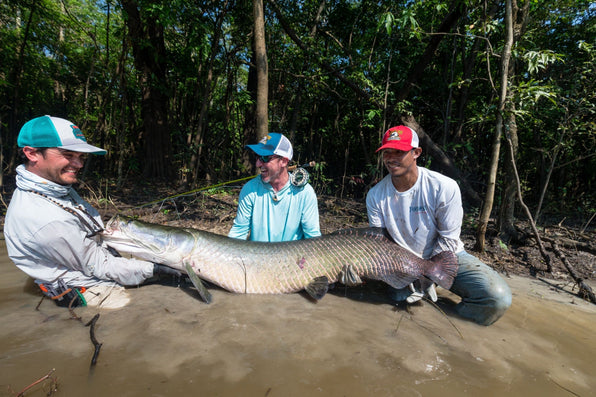 yellow-dog-flyfish The Top 5 Best Arapaima Flies.