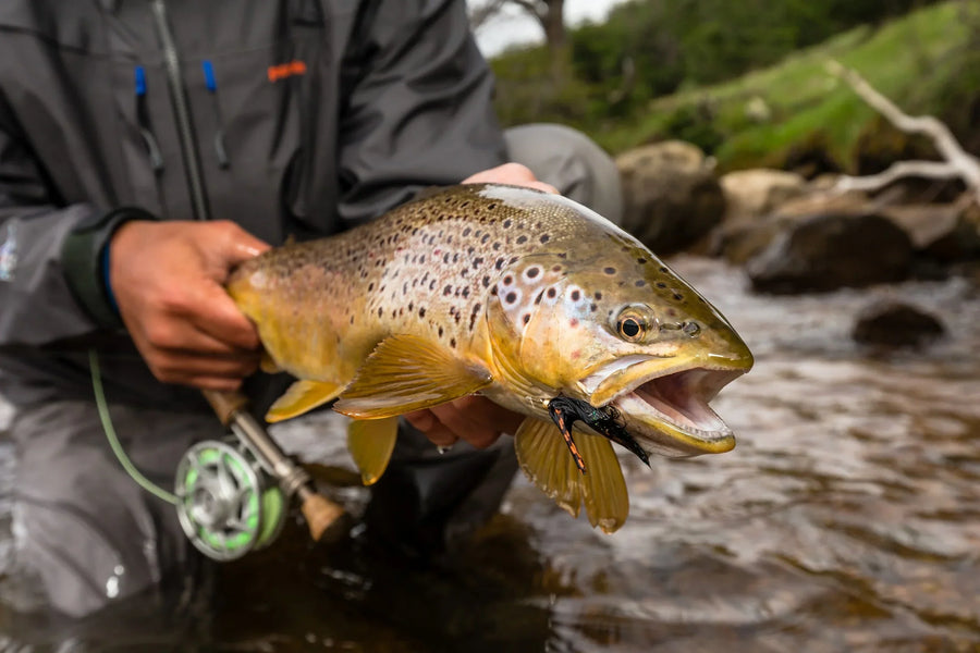 yellow-dog-flyfish January 2024 Client Trip Recap: Cinco Rios Lodge & Estancia del Zorro.