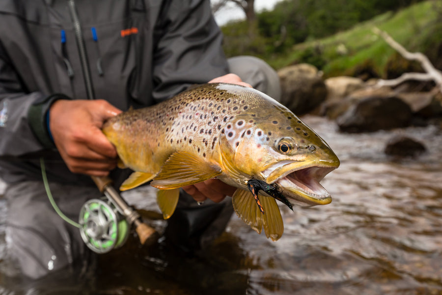 yellow-dog-flyfish Why You Should Seriously Consider Fly Fishing Chilean Patagonia.