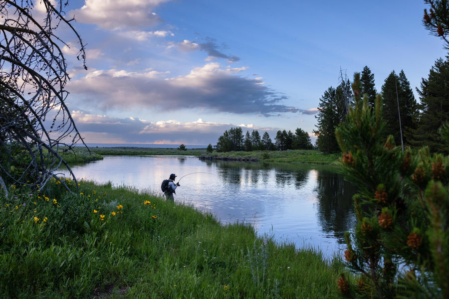 Best Fly Rods for Dry Fly Fishing