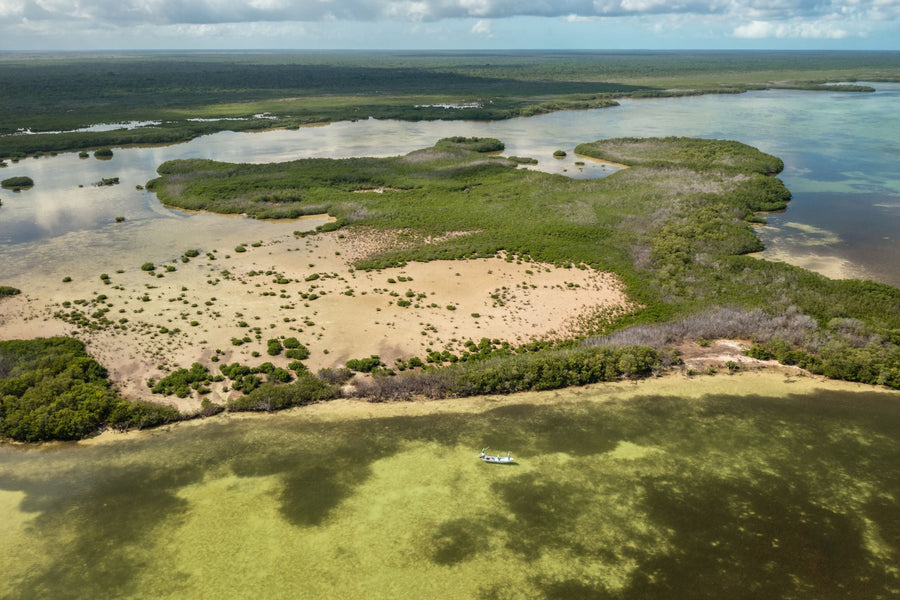 yellow-dog-flyfish Mexico: Two New Destinations Announced for 2022.