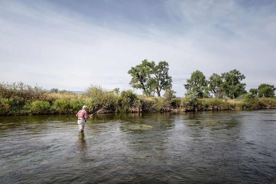 yellow-dog-flyfish Choosing a Fly Rod: The 5-Weight.