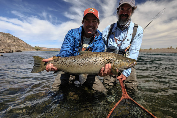 The Large Brown Trout of Patagonia and Where to Find Them
