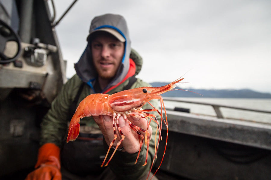 yellow-dog-flyfish August, 2023: Chrome Chasers Fall Fish and Forage Client Trip Recap.