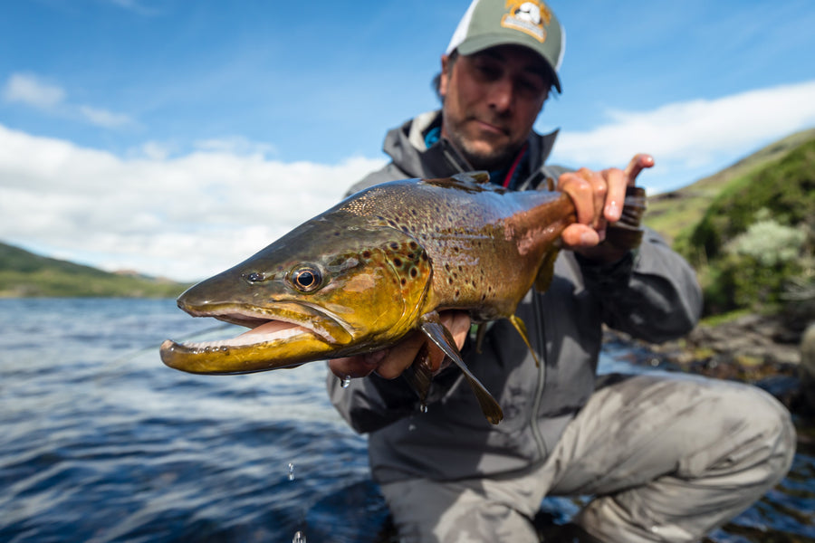 yellow-dog-flyfish A Guide to the Top Streamer Fly Lines.
