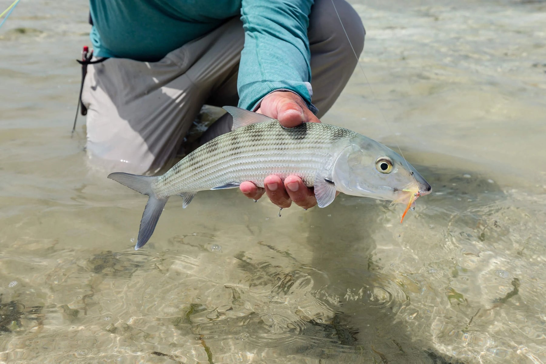 articles/Gregson_grandslam_fishing_2018_62.webp
