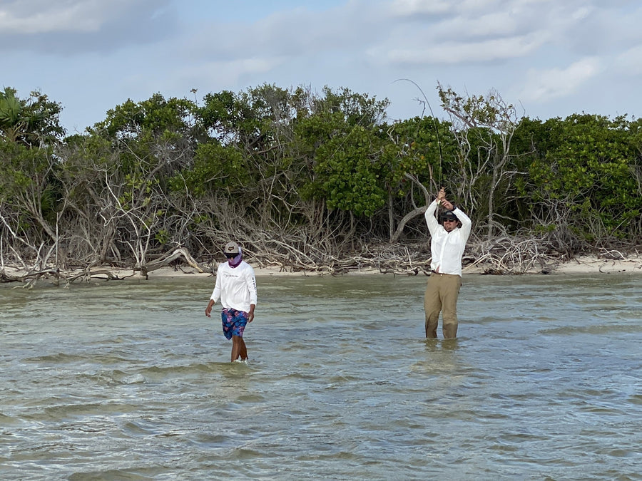 yellow-dog-flyfish Mexico: Grand Slam Lodge Trip Report Late December 2020.