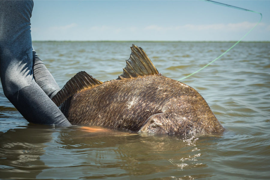 yellow-dog-flyfish Louisiana: The Dogwood Trip Report Late May 2019 (Picture Heavy).