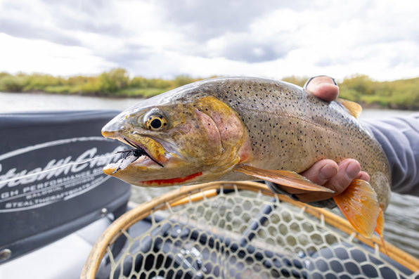 The Best Freshwater Fly Fishing Trips for Beginners