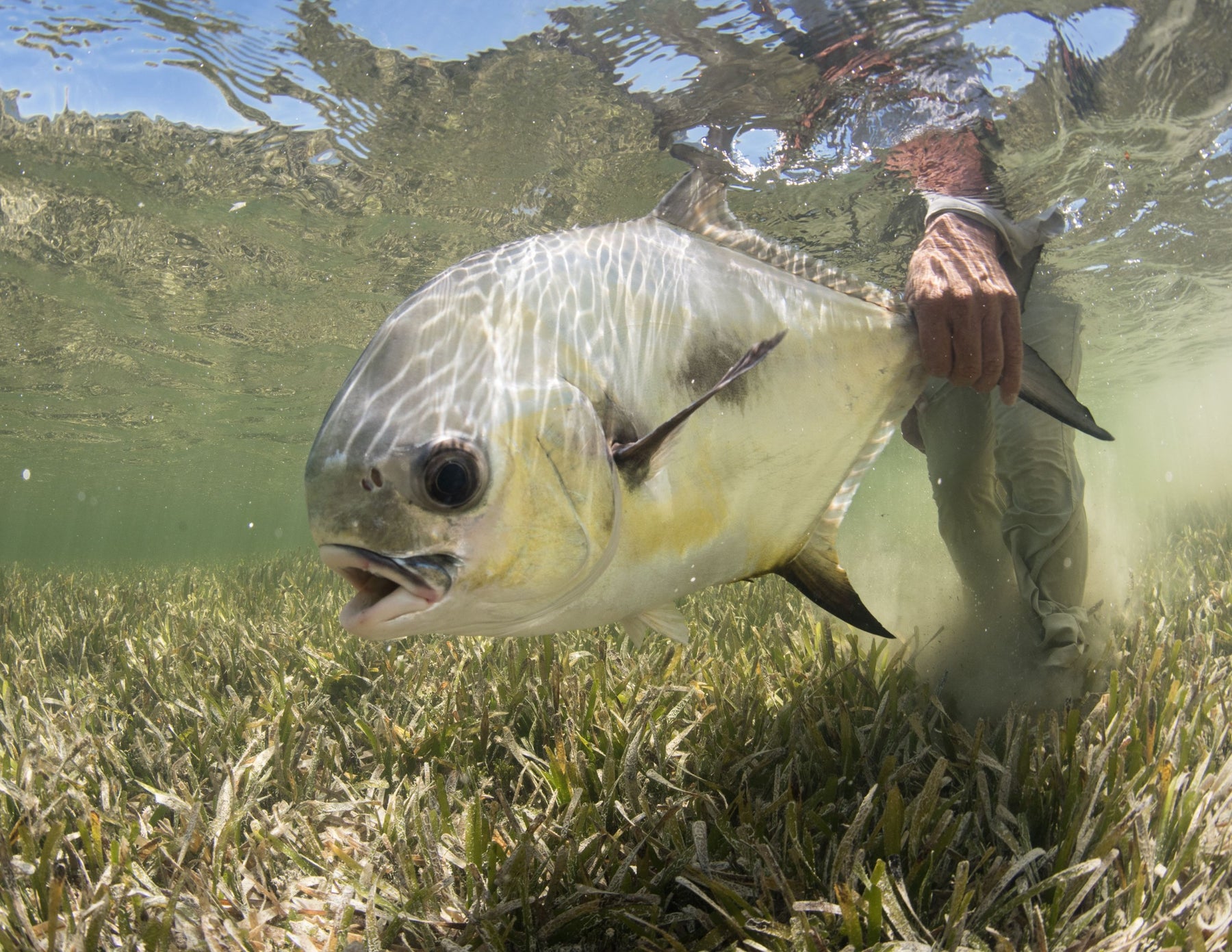 articles/KLUG-Cuba-JDR-64-scaled_58d5c500-4140-438f-a623-b0f2f3486a1b.jpg