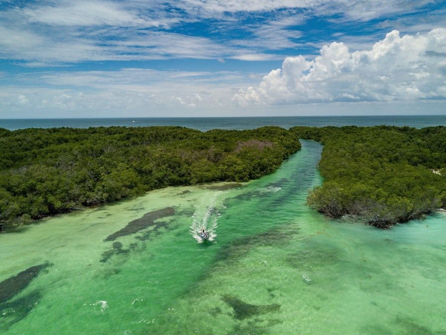 yellow-dog-flyfish Choosing a Fly Rod: The 10-Weight.