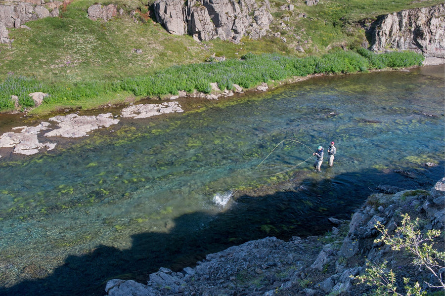yellow-dog-flyfish Iceland: Reykjavik Angling Club Trip Report.