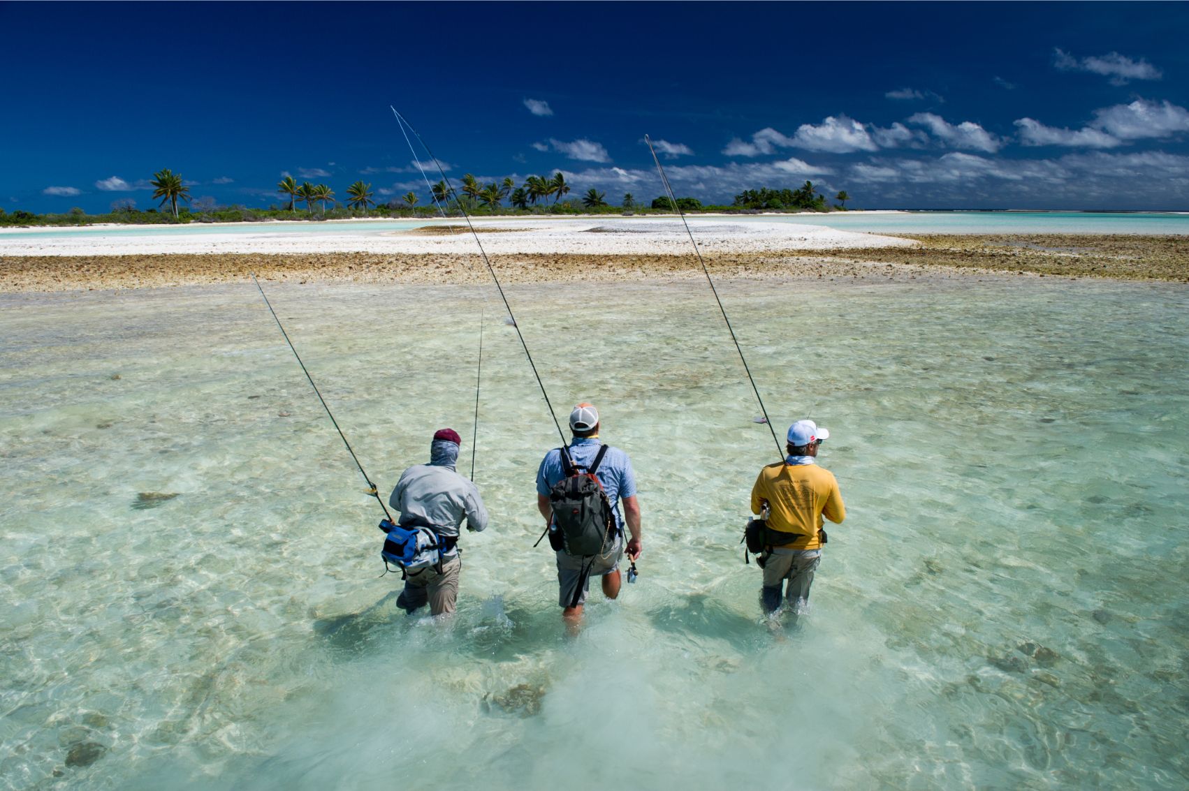 articles/Klug-Photos-Christmas-Island-2014-82_1e753877-c993-44d8-ae0e-3ca5ae2d1e7b.jpg