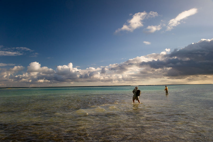 yellow-dog-flyfish Trip Report: Christmas Island.