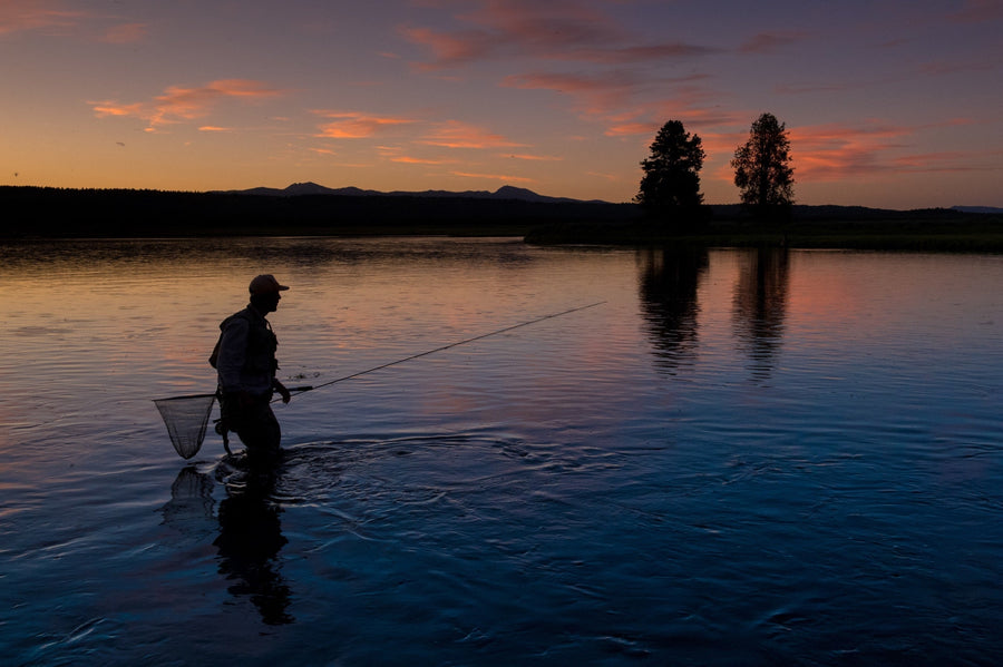 yellow-dog-flyfish Top 12 Pale Morning Dun/PMD Flies.