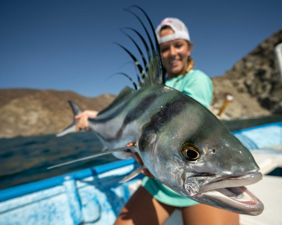 yellow-dog-flyfish Mexico: Bahia de los Suenos Family Trip Report (Picture Heavy).