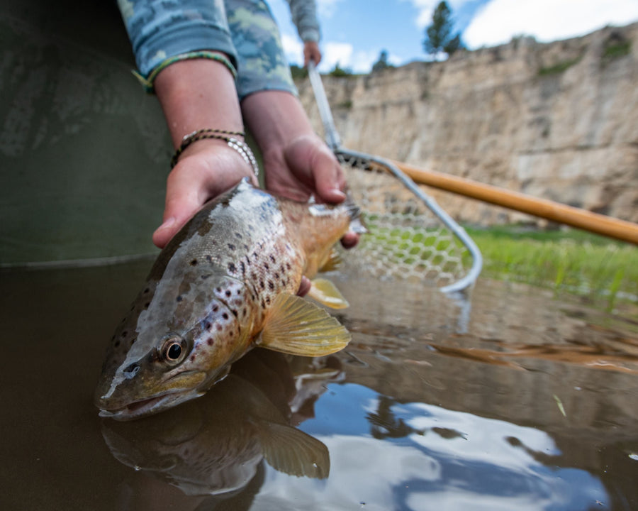 yellow-dog-flyfish ACTION ALERT | SAVE THE SMITH RIVER.