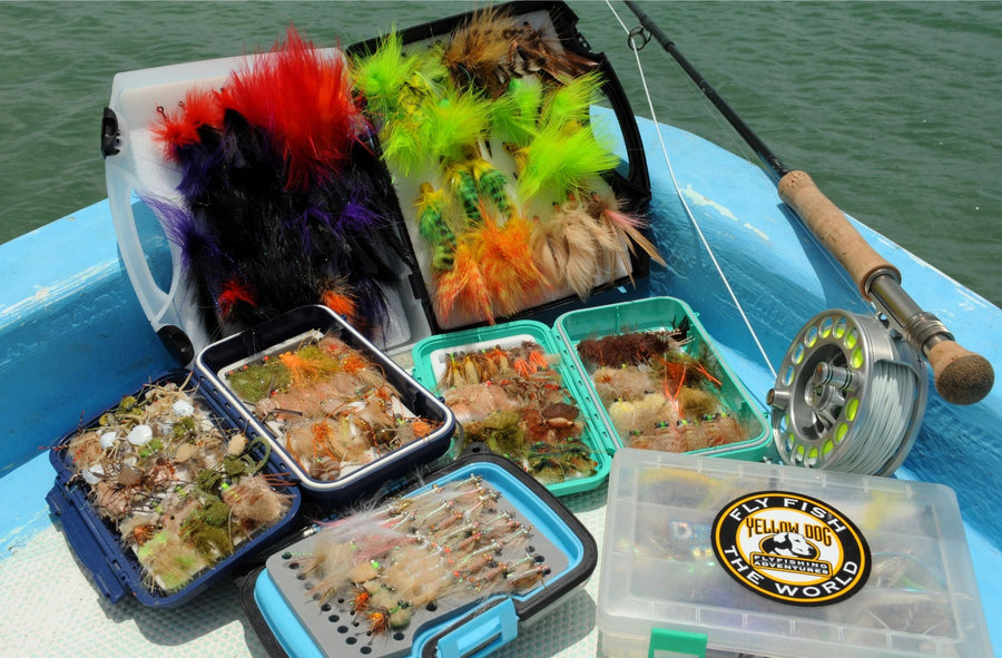yellow-dog-flyfish FATHER SON TRIP REPORT || PESCA MAYA, YUCATAN.
