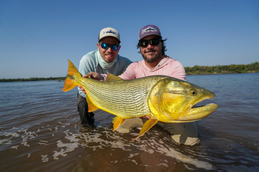 yellow-dog-flyfish Yellow Dog Introduces New Uruguay Golden Dorado Programs.