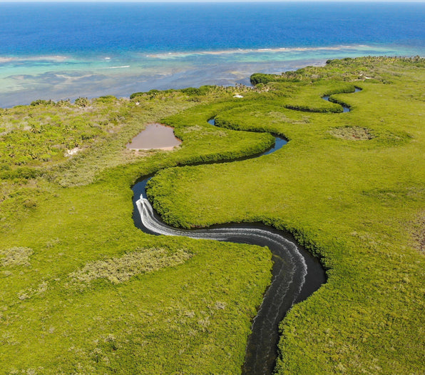 yellow-dog-flyfish Yucatan Fly Fishing Gear Guide: Everything You Need.