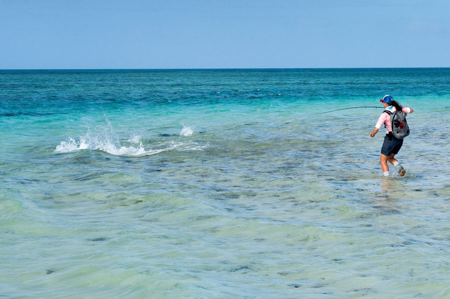 yellow-dog-flyfish SOMEWHERE DOWN IN THE SEYCHELLES.