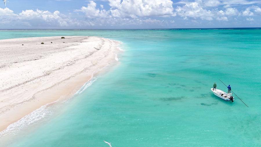 yellow-dog-flyfish March 2024: Farquhar Atoll Client Trip Recap.