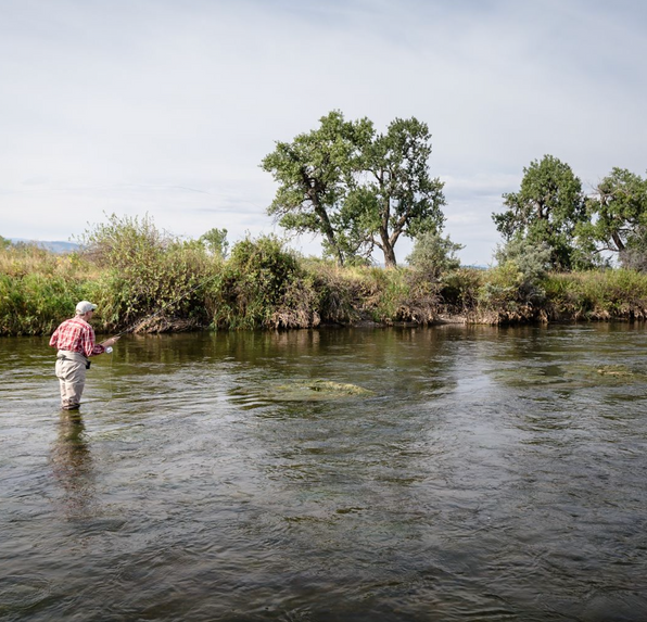The Top Seasons for Fly Fishing in Montana