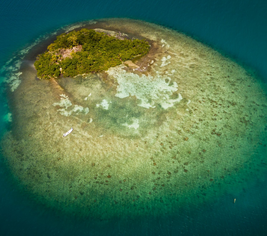 yellow-dog-flyfish Belize Fly Fishing Gear Guide: Everything You Need.