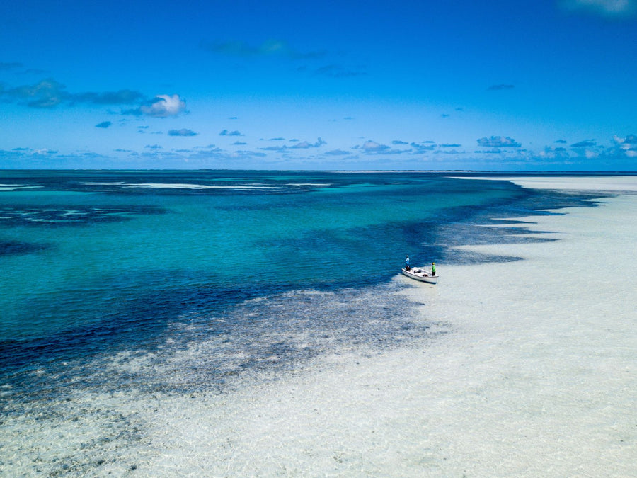 yellow-dog-flyfish An Overview of the Top Seychelles Fly Fishing Atolls.