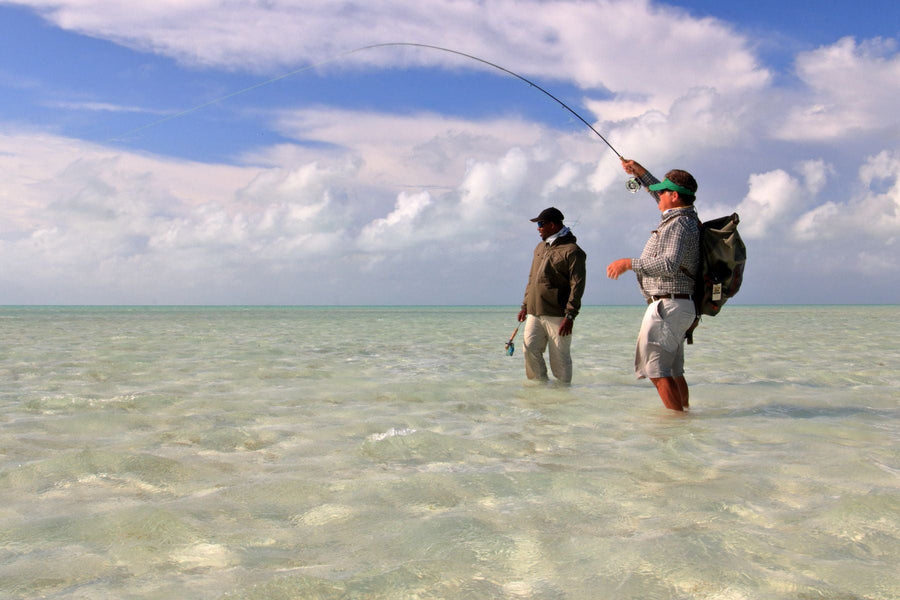yellow-dog-flyfish Bahamas: All-New Berry Islands Lodge Operation for 2022.