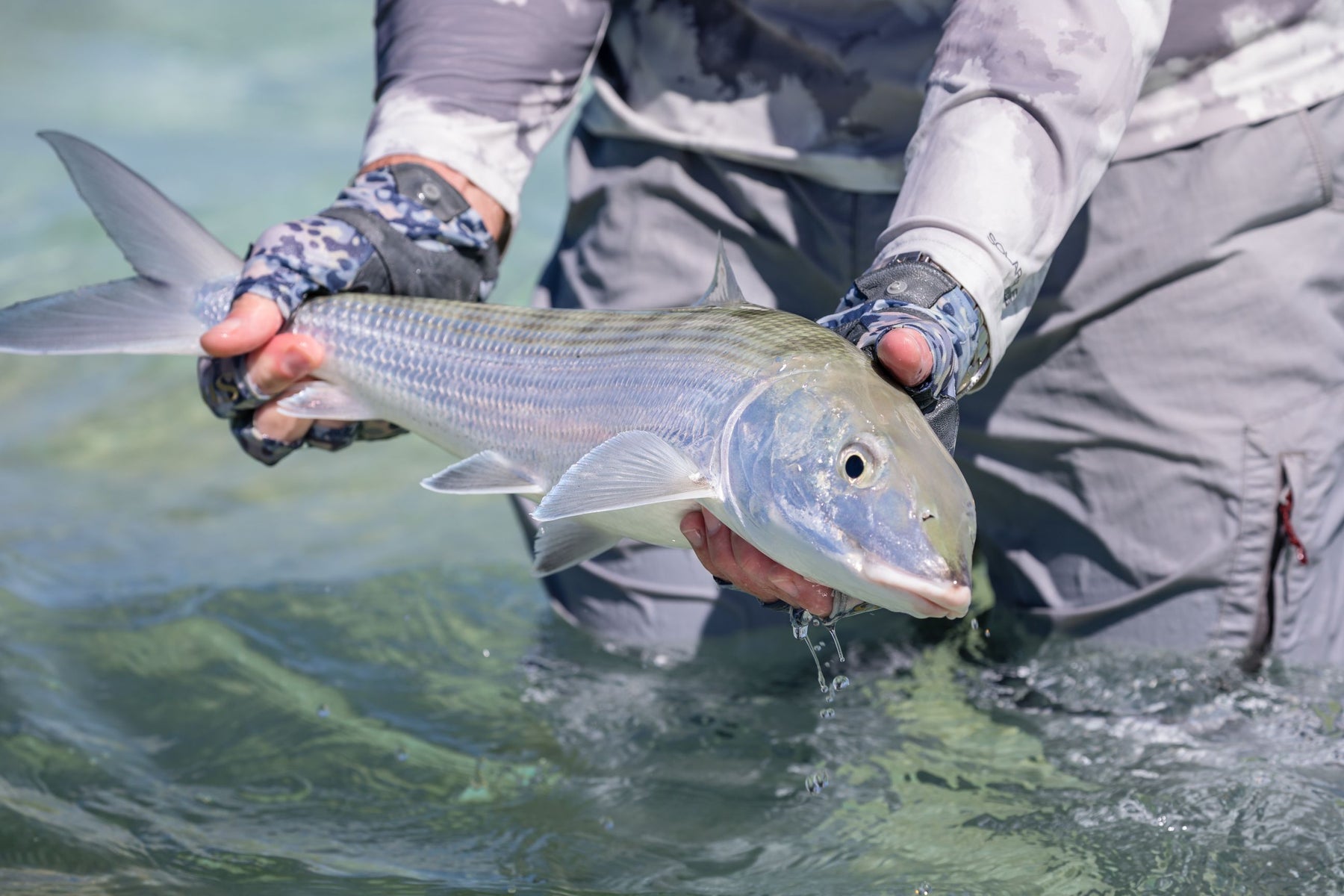 6 Great All-Ladies Fly Fishing Trips to Take, from Female Anglers