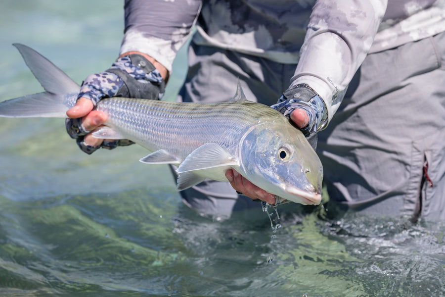 yellow-dog-flyfish The 12 Best Guided Fly Fishing Trips in the World.