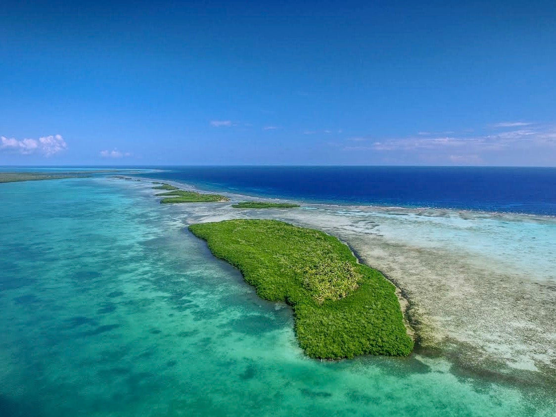 articles/Turneffe-Atoll-Trust-Acquisition_97520b02-4f20-4aa2-94dd-c675d58719b3.jpg