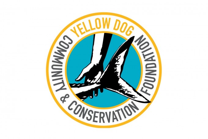 yellow-dog-flyfish Belize Announces National Gillnet Ban.