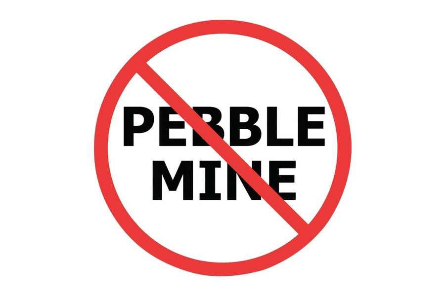 yellow-dog-flyfish Update on the Battle to Protect Bristol Bay from the Pebble Mine.