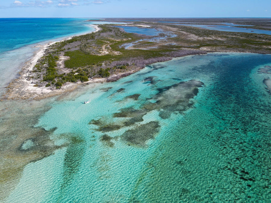 yellow-dog-flyfish Last-Minute Cancellation Discount to Grand Bahama's East End Lodge.