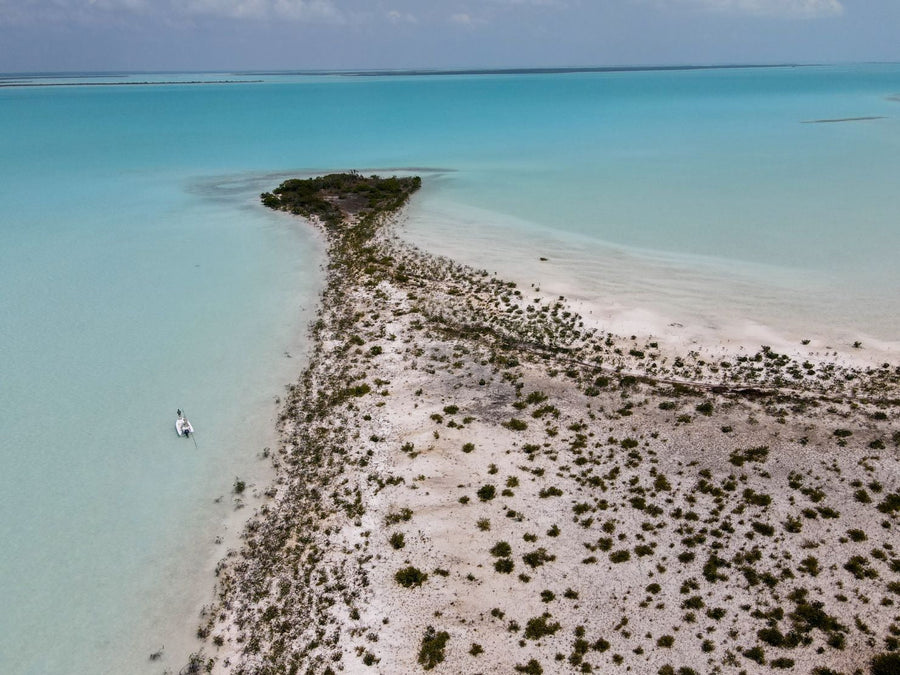 yellow-dog-flyfish February 2024 Client Trip Recap: Swain's Cay Lodge.