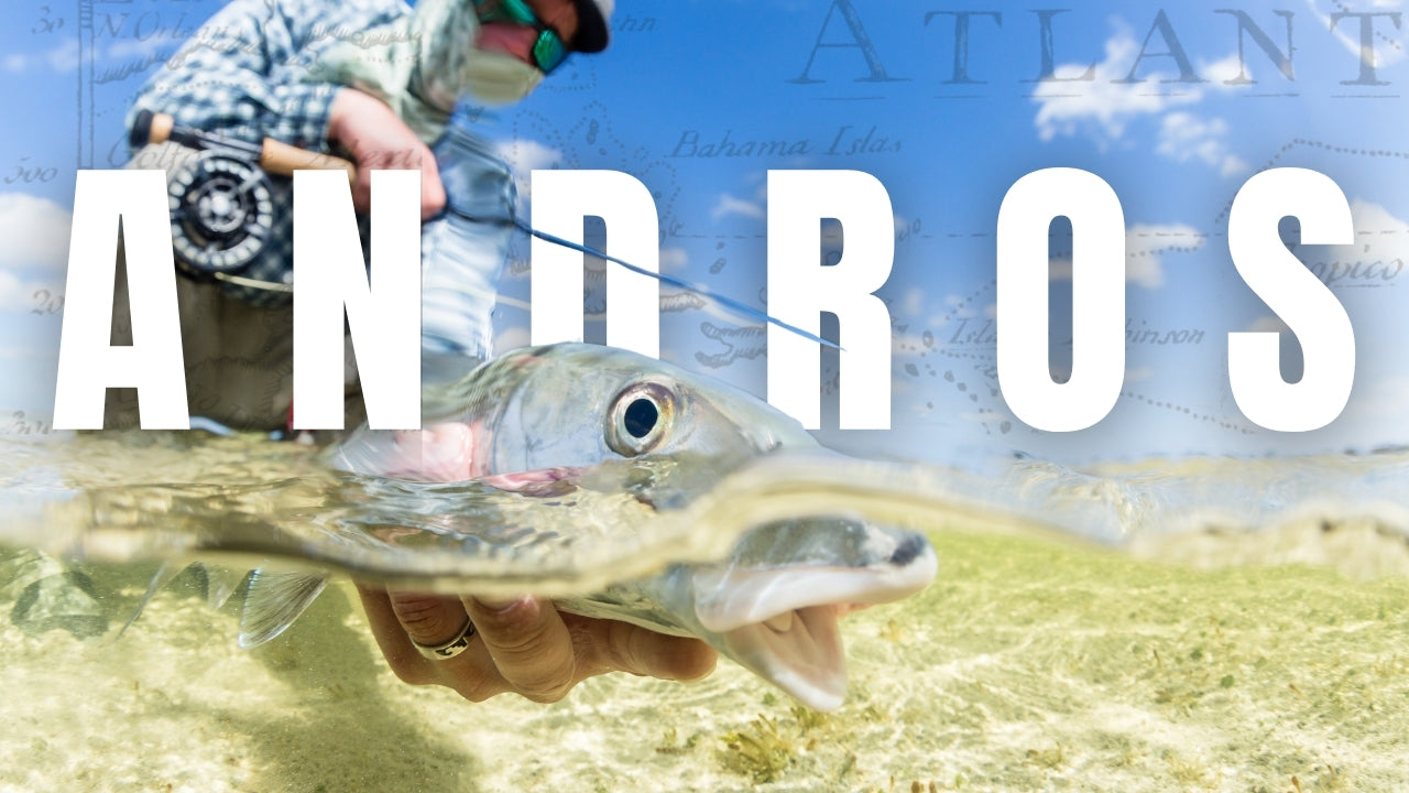 Fly Fishing Andros - Yellow Dog Field Reports