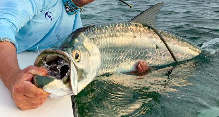 yellow-dog-flyfish Isla de la Juventud Discount During Prime Tarpon Season.