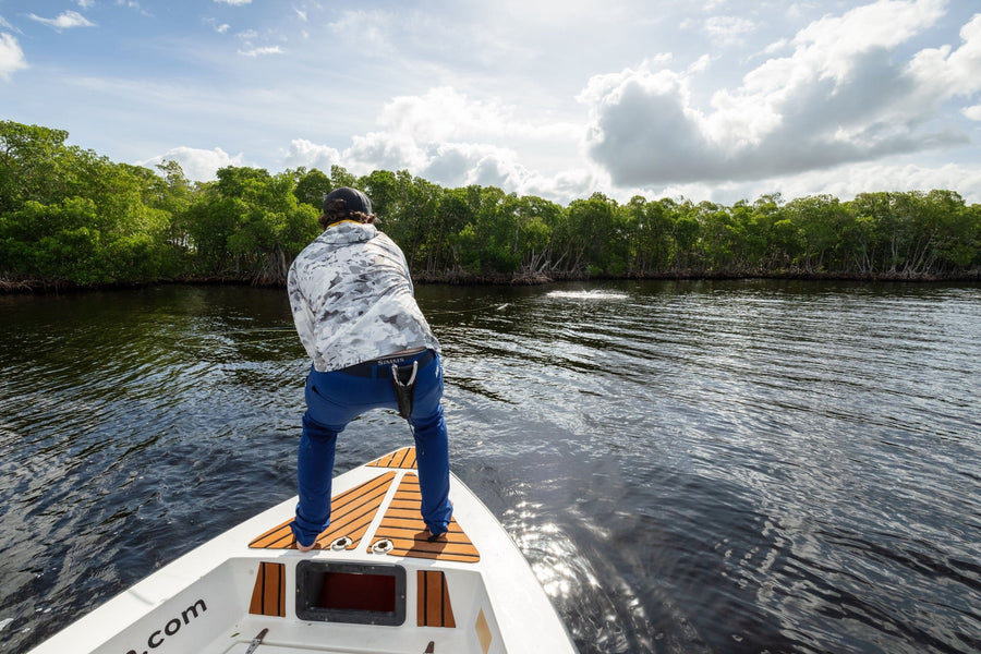 yellow-dog-flyfish November, 2023: North Yucatan Trip Report.