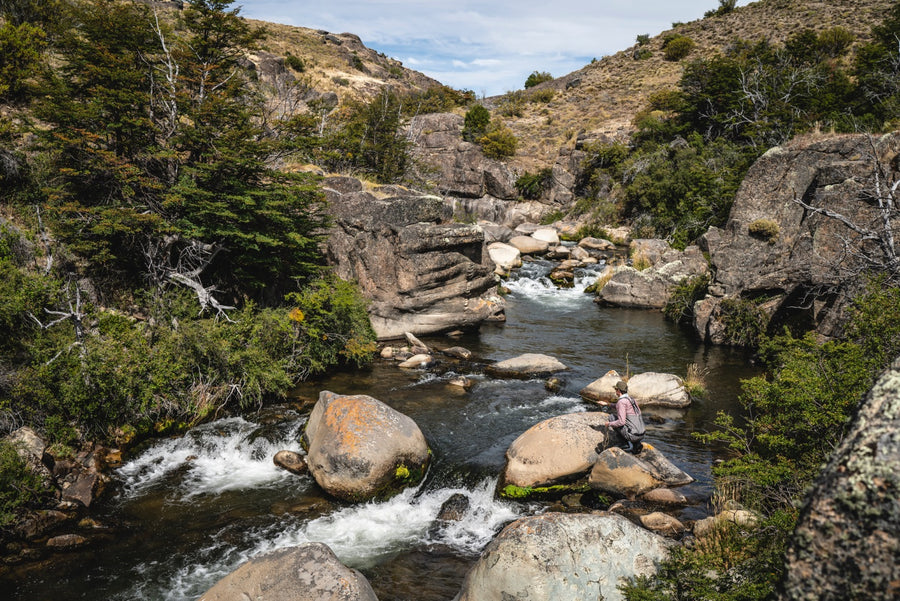 A Fly Fishing Phenomenon: When the Bamboo Blooms in Patagonia