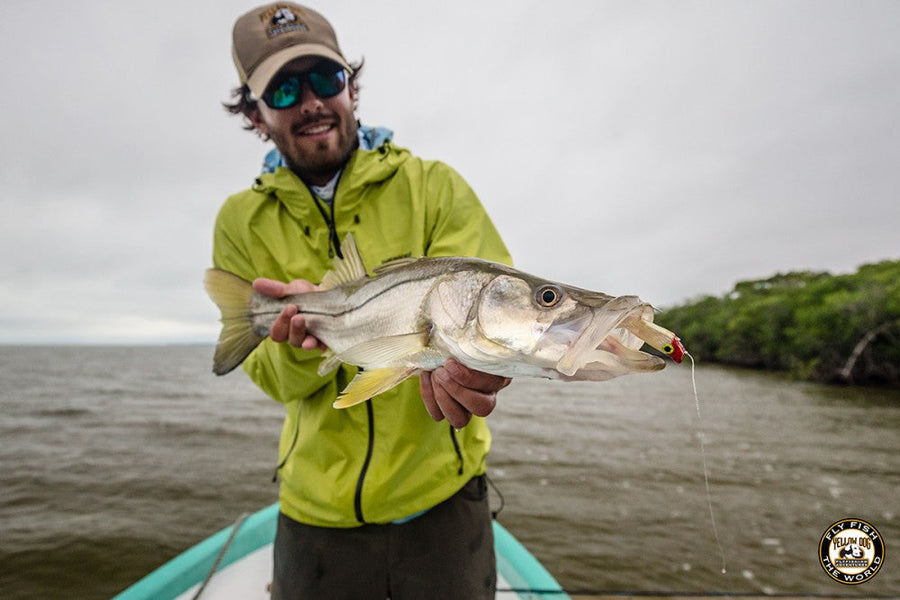 yellow-dog-flyfish LIVE FROM THE FIELD: BELIZE RIVER LODGE, BELIZE.