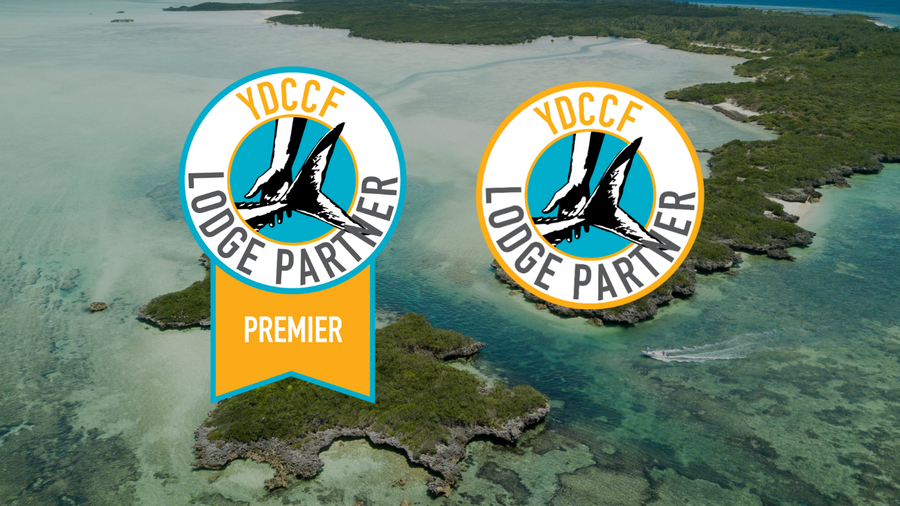 yellow-dog-flyfish Yellow Dog Community and Conservation Foundation Announces 2024 Lodge Partners.
