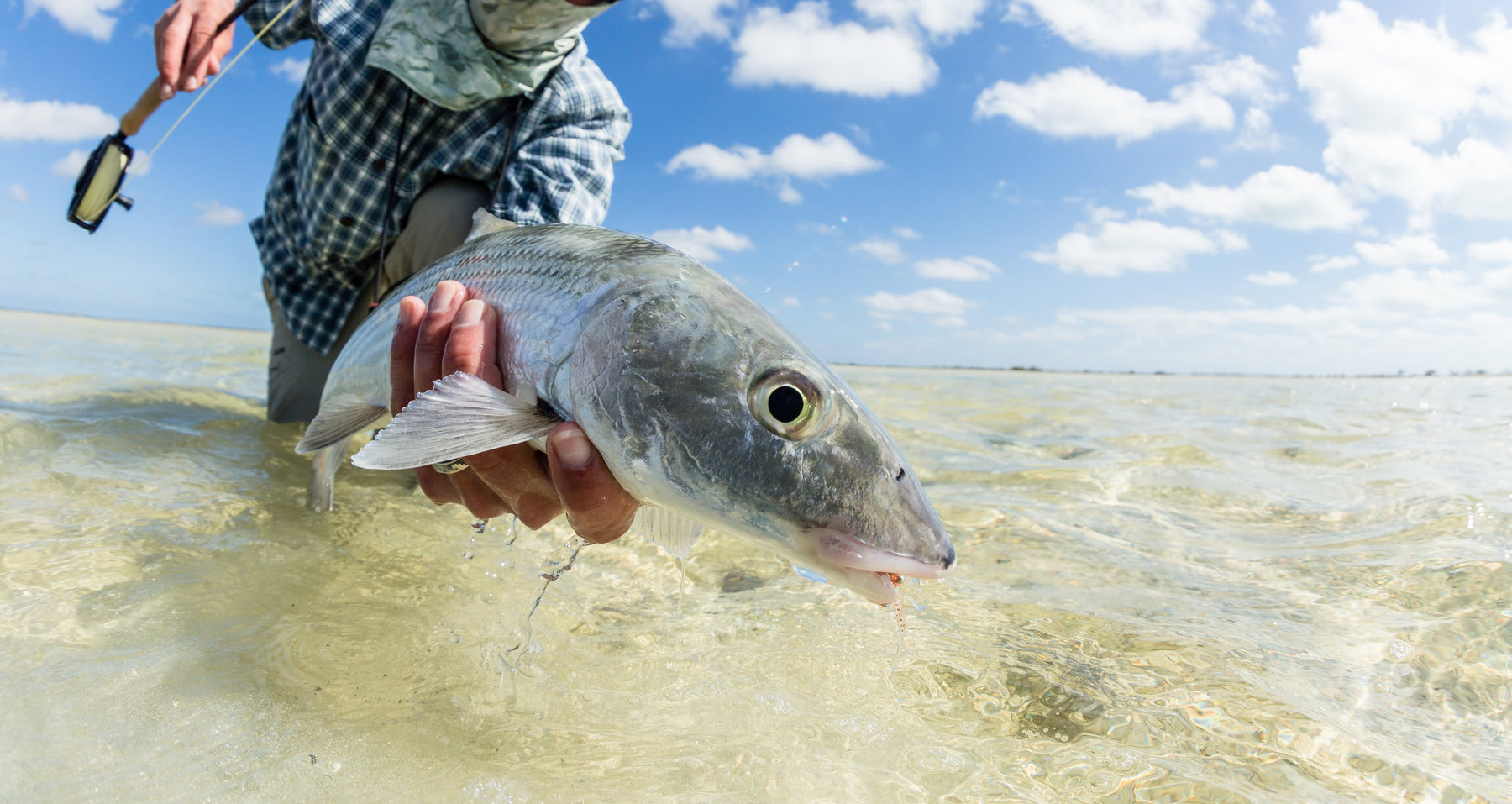 Best 8-Weight Rods for Bonefish