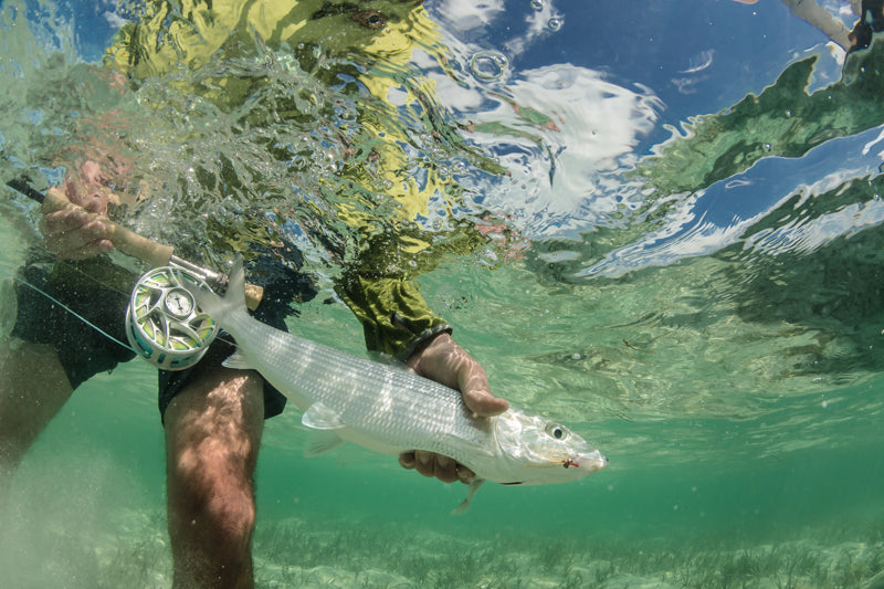 articles/bonefish_petition_gregson_yellow_dog_flyfishing-5-1_2ea31d4e-9293-4d31-a7b2-2eada1f55a81.jpg